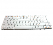 Lenovo Ideapad Y460 (0633) toetsenbord