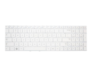 Samsung NP300E5C-S07DE toetsenbord